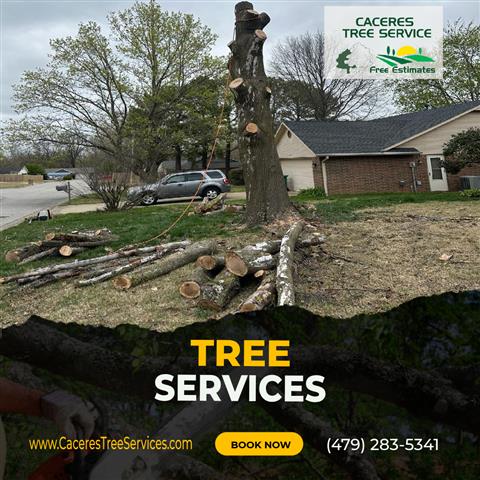 Caceres Tree Service image 4