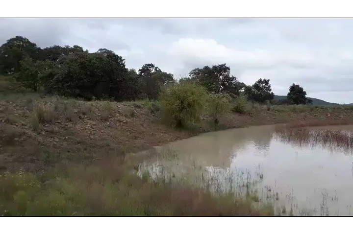 $750000 : TERRENO D 5000M2 CERCA AMEALCO image 10