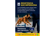 “Tus guerreros guardianes”. thumbnail