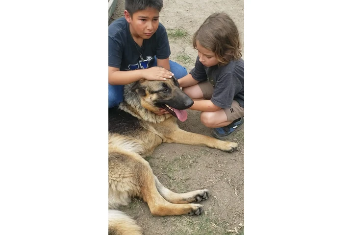 🐾 Ayuda urgente para Rocky 🐾 image 2