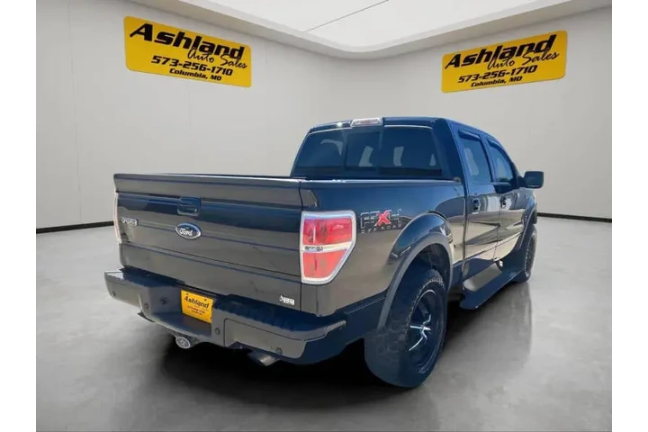 $10900 : 2010 F-150 FX4 image 6