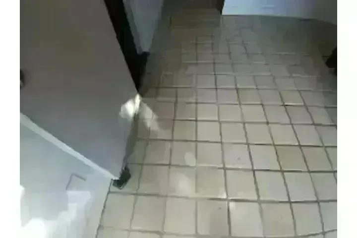 RC LIMPIEZA DE ALFOMBRAS image 3