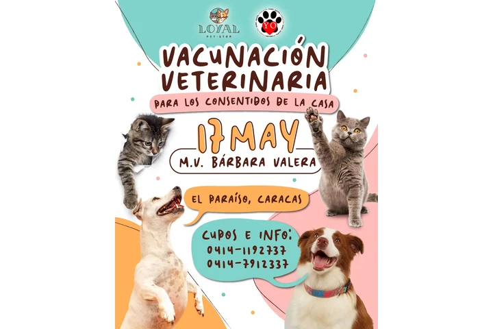 Vacunación Veterinaria Mensual image 5