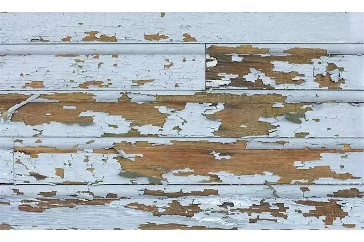 TIENE DERECHOS DE INQUILINO image 7