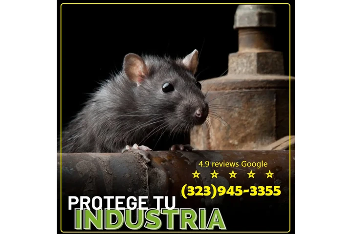 Pest Control Services 24/7.L.A image 7