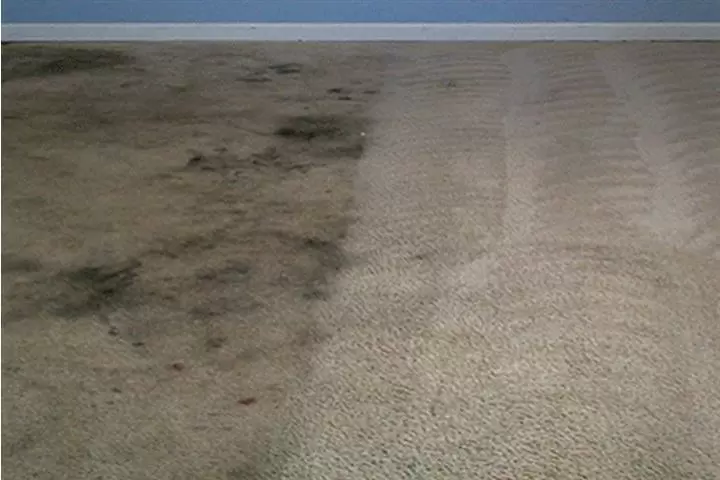 MAURICIO'S CARPET CLEANING image 3