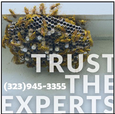 PEST CONTROL (323)945-3355 image 3