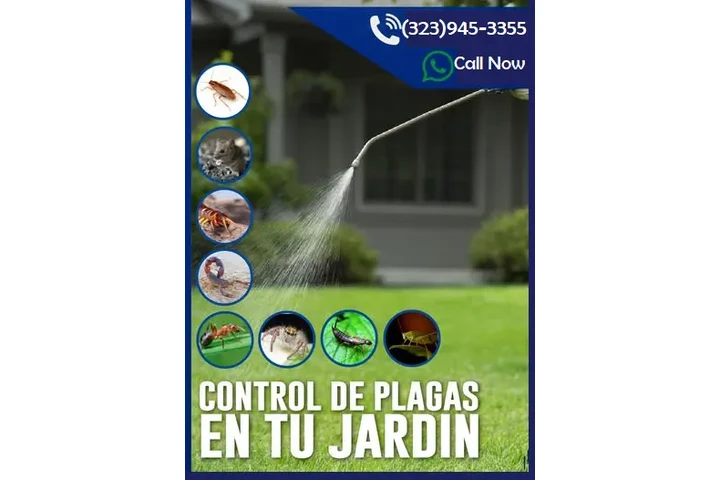 PEST CONTROL NEAR ME 24/7.- image 6