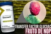 GLUCOACH TRI FACTOR 4LIFE thumbnail