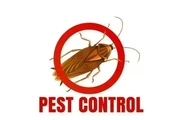 PIÑAS PEST CONTROL🦟🐀🐛 en Los Angeles