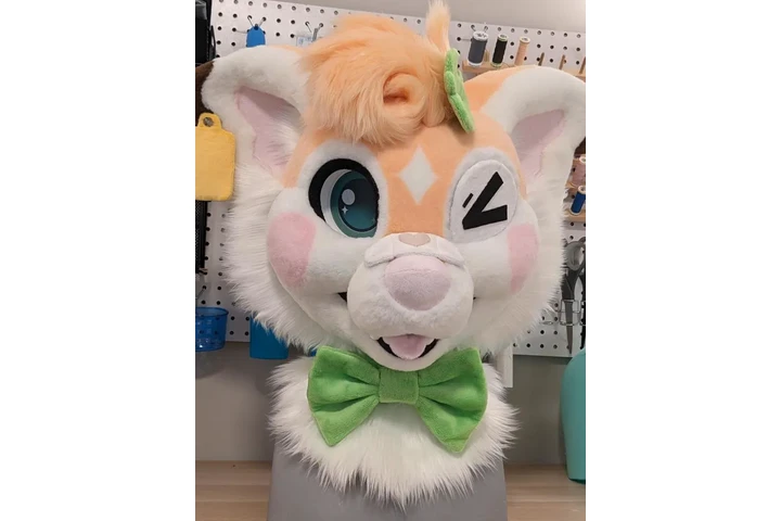 $500 : Fursuits For Sale image 1