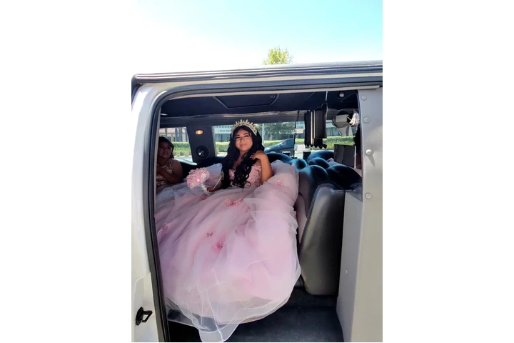 E&M Limousine Services LLC image 6