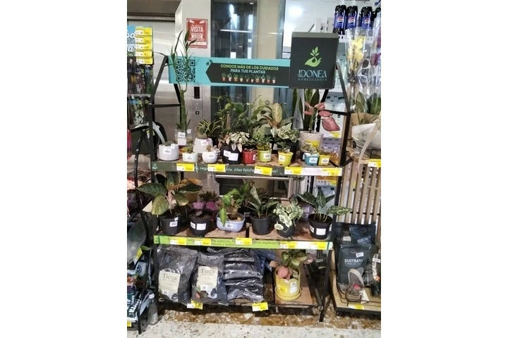 ¡Oportunidad única de negocio image 4