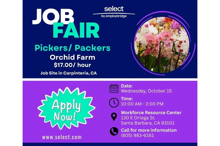 JOB FAIR image 2