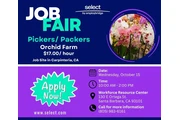 JOB FAIR thumbnail