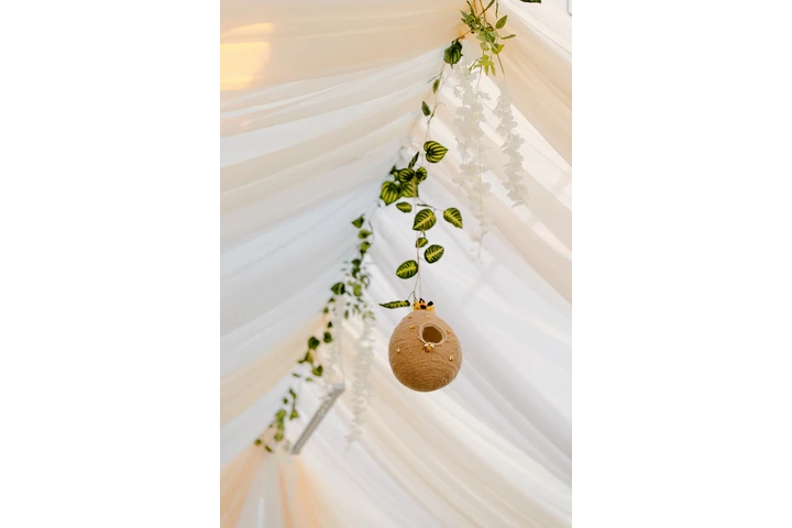 Choreography / Decoration image 1
