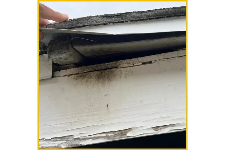 Browny Pest Control image 2