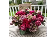 West Park Party Rentals en San Francisco Bay Area