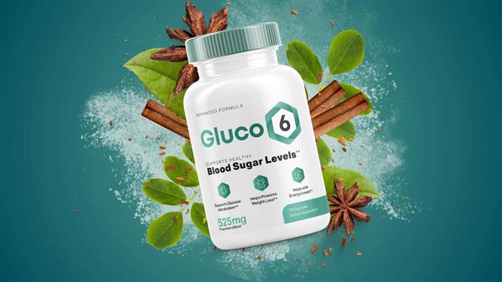 GLUCO 6, Blood Sugar Support image 2