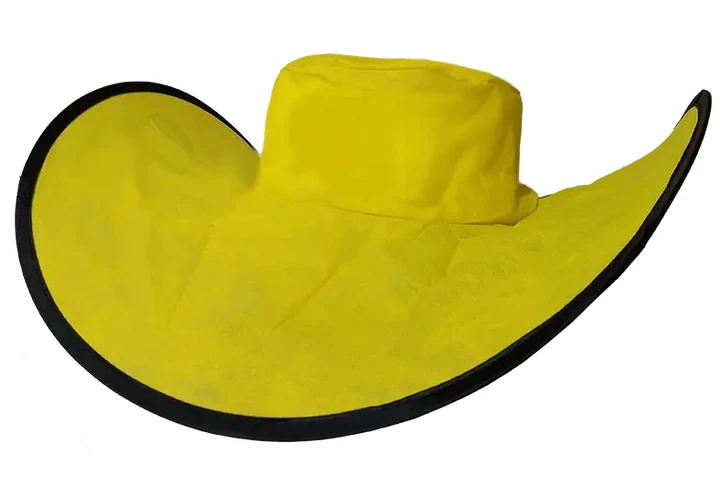 $1 : SOMBREROS PLEGABLES IMPRESOS image 5
