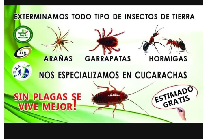 Pest control image 1