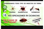 Pest control en Phoenix
