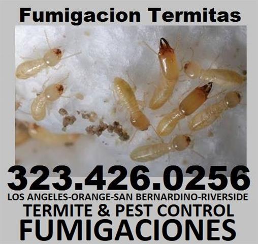 FUMIGADOR TERMITAS 24/7 ORANGE image 7