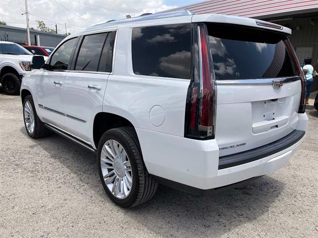 2020 Escalade 2WD 4dr Platinum image 4