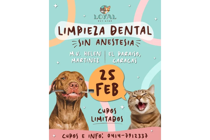 Vacunación Veterinaria Mensual image 2