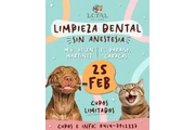 Vacunación Veterinaria Mensual thumbnail