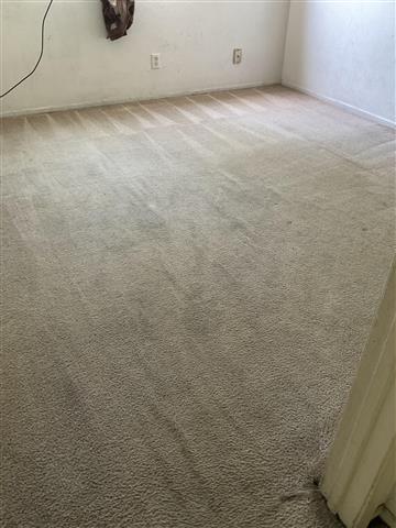 Steam Carpet Cleaning image 1