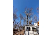 Pinesbridge Tree Service INC thumbnail
