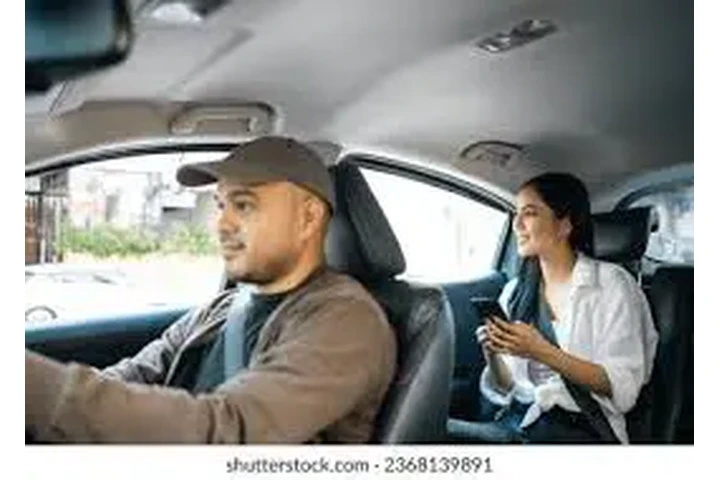 Private driver and car India image 1