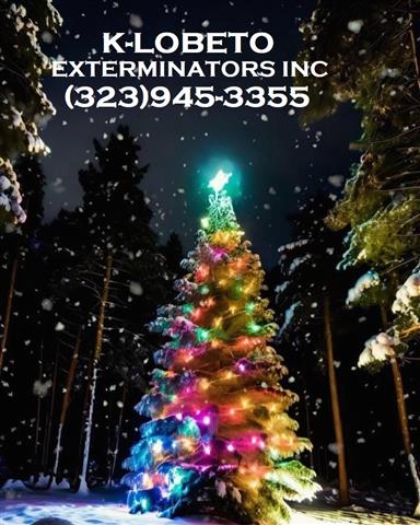 CHRISTMAS FUMIGATIONS 2024 image 3