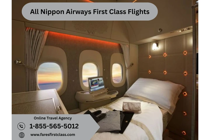 All Nippon Airways First Class image 1