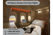 All Nippon Airways First Class en Wilmington