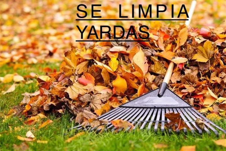 SE LIMPIA YARDAS image 2