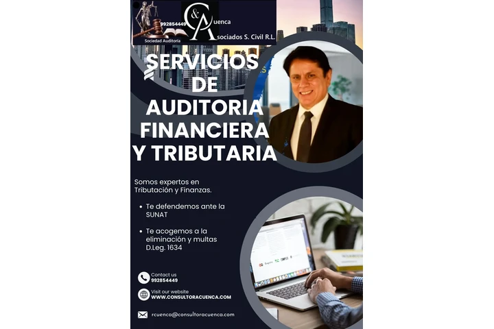 AUDITORIA FINANCIERA image 1