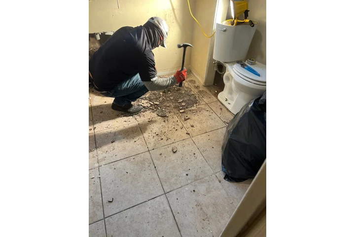 ALEX THE HANDYMAN image 6