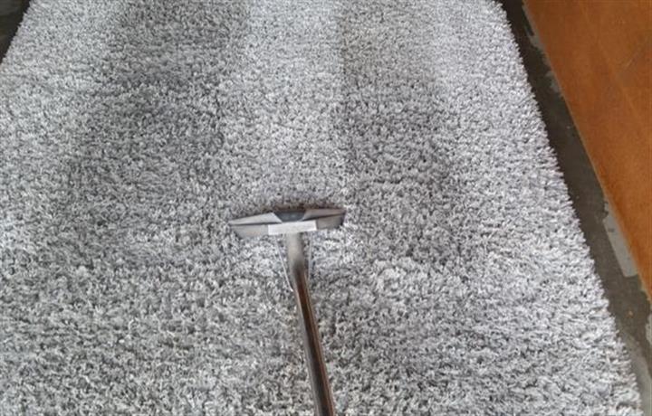 Roy's Carpet Cleaning image 4
