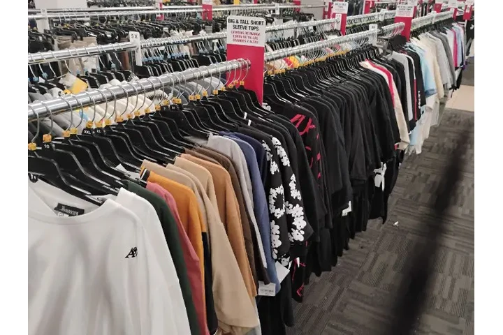 "Organizadora de Armarios" image 2