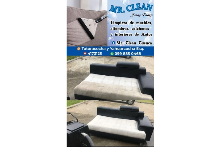 LAVADO MUEBLES ALFOMBRAS AZUAY image 7