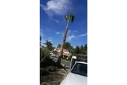 Servicios de Jardineria en San Bernardino