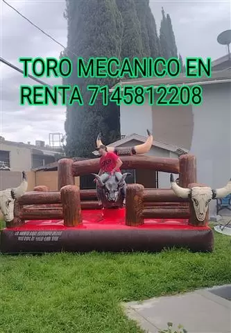 JUMPERS PARTY RENTAL image 3