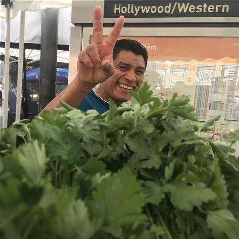 East Hollywood Farmers' Market image 3