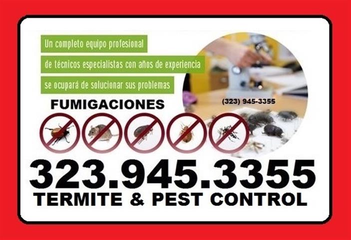 🦂PROFESIONALES CERTIFICADOS🐀 image 1