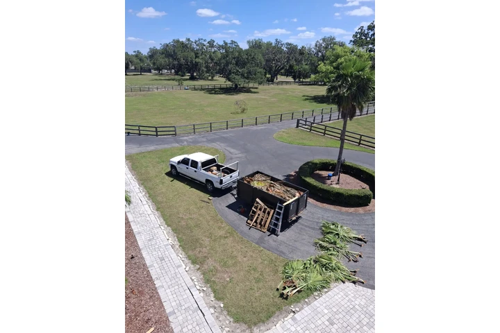 Landscaping and palmtrees. image 1