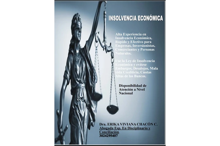 INSOLVENCIA ECONÓMICA image 1