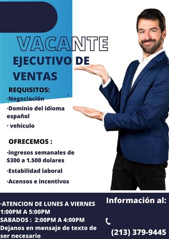 AGENTE DE VENTAS image 1