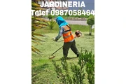 Fumigaciones Quito Tel 2428098